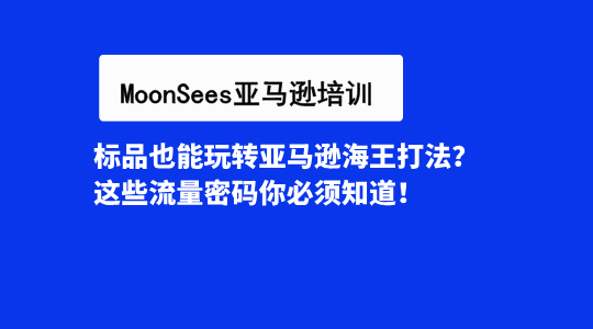 标品也能玩转亚马逊海王打法？这些流量密码你必须知道！